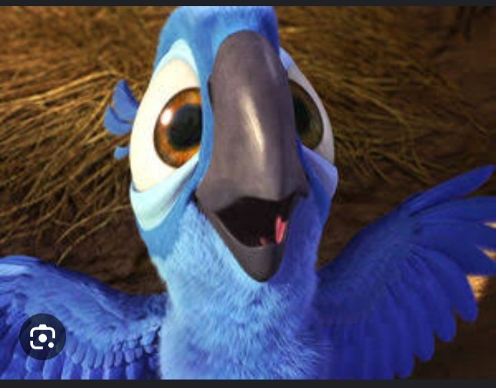 MarcioRm1972's tweet photo. BOM DIA À TODOS(AS)
#bdrj @flaviofachel @silvanaramiro #Genilson #VitóriaHenrique
UM BOM DIA ESPECIAL PARA ESSA PERSONAGEM QUE CONQUISTOU O MUNDO DEPOIS DO FILME RIO:
A BLUE ,
Bom Dia Rio é um Luxo!!!😂👍🏾 https://t.co/qgT2oLbZzQ