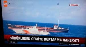 𝕾𝖍𝖊𝖑𝖑𝖞 tweet media