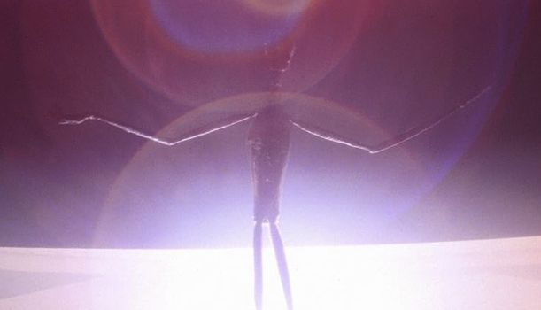 giddierone's tweet photo. Looks like. 
OAHSPE 1882 > Close Encounters of the Third Kind 1977
#ufotwitter #ufox https://t.co/DkTs1m4JVw