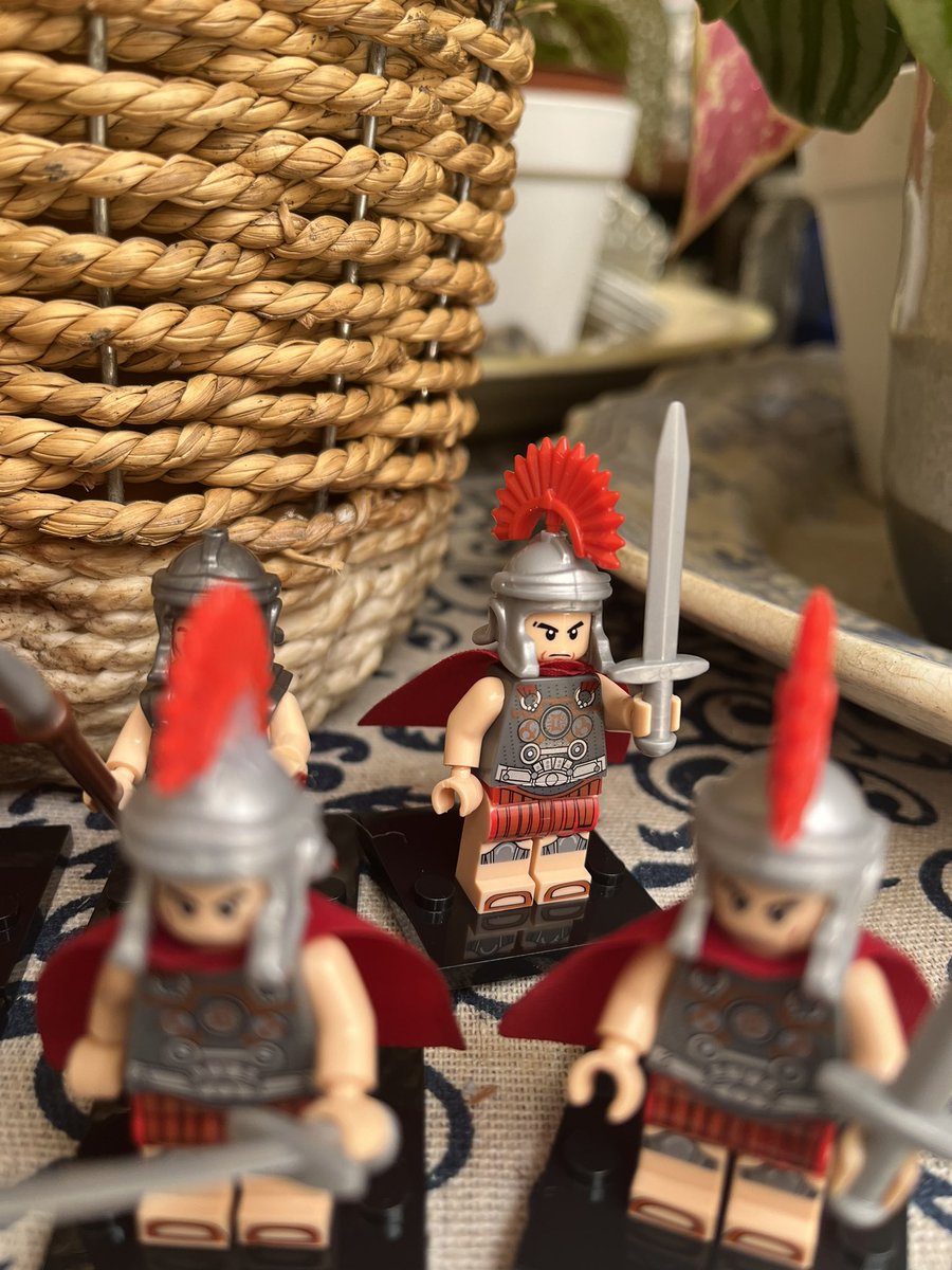 Ceridwen Eccles tweet media