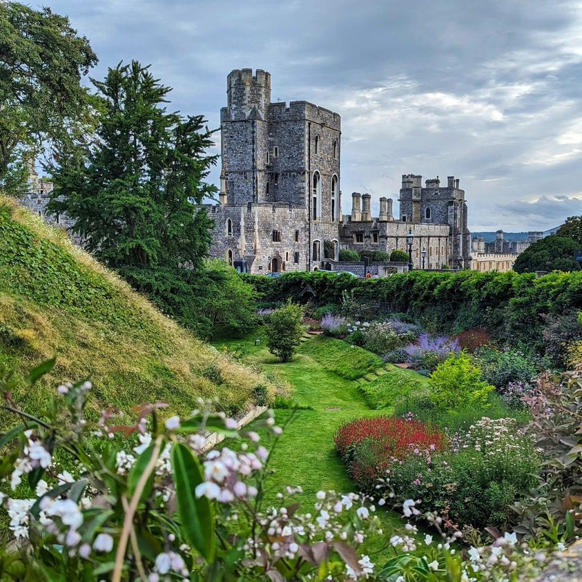 Windsor Cars tweet media