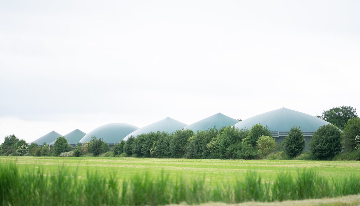 Das Bundeswirtschafts- und Klimaschutzministerium hat den aktuellen Zwischenstand zur Nationalen Kraftwerksstrategie vorgestellt. Der LEE setzt sich für weitere Verbesserungen im Biogasbereich ein.

lee-nds-hb.de/kraftwerksstra…