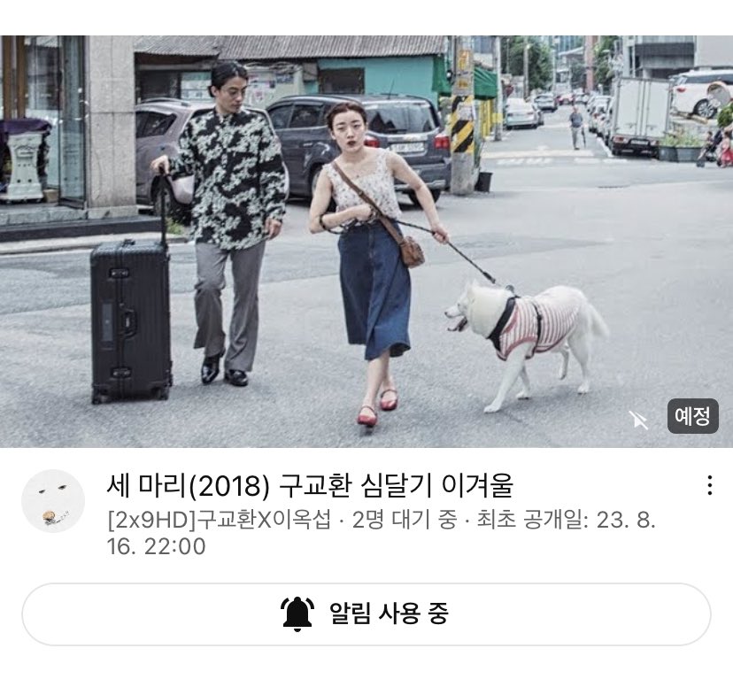 썸네일 달라졌어 🐾