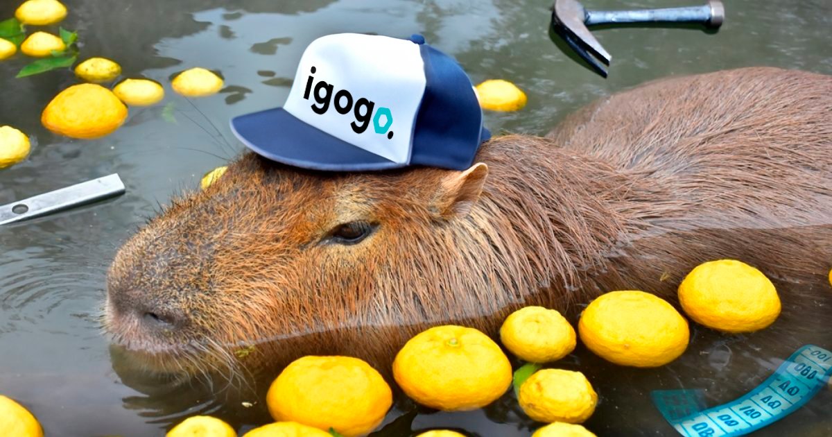 igogoio's tweet photo. Similarities between igogo and #Capybara: 
- both can help reduce stress
- both offer unconditional support
- both have an instant charm that captures your heart

#tuesdayvibe #stress #15august2023 https://t.co/xoG6zbX8hj