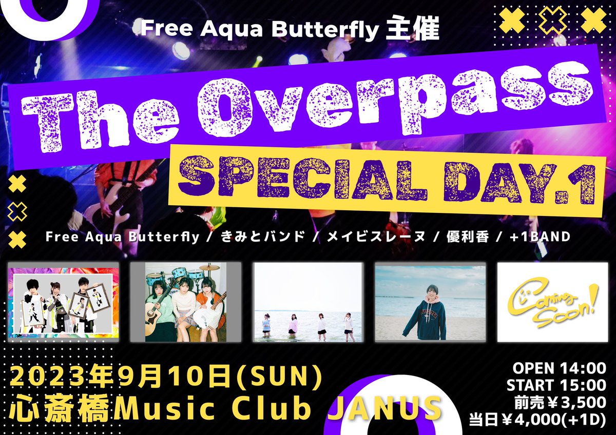 Free Aqua Butterfly-ふりあく- tweet media