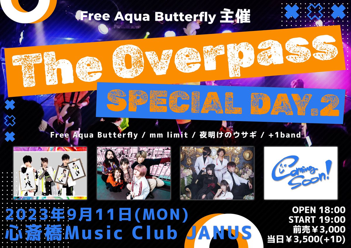 Free Aqua Butterfly-ふりあく- tweet media