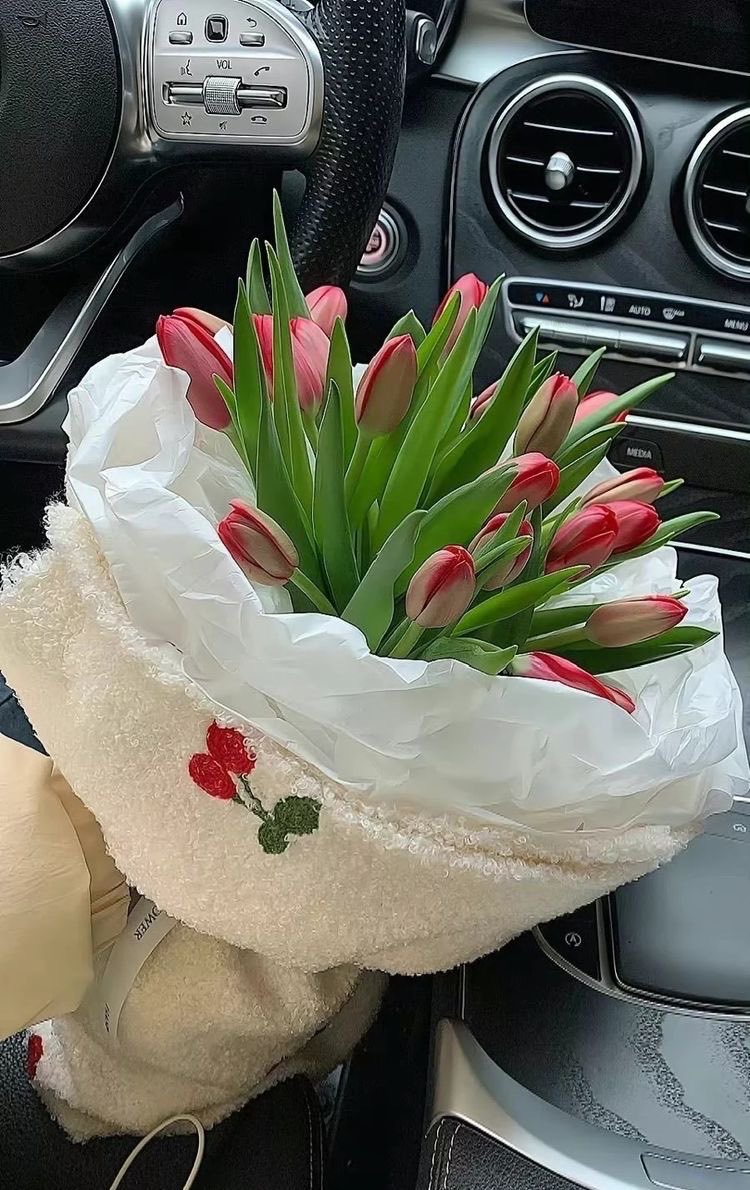 SelectOutfit's tweet photo. pink tulips https://t.co/JtCnBKRo47