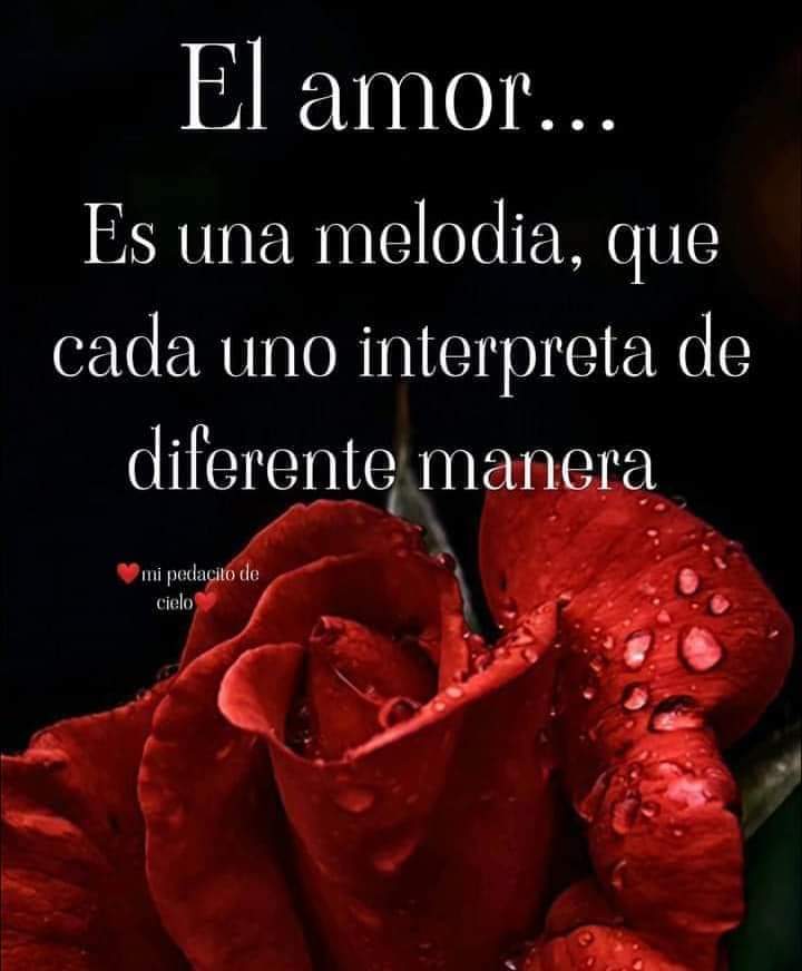 djcarlosriera72 tweet picture