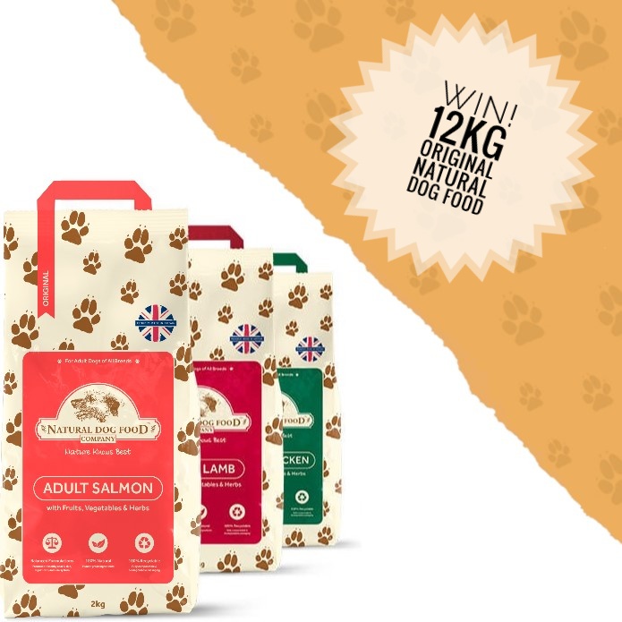 Natural_DogFood's tweet image. ⭐️⭐️Giveaway!⭐️⭐️
We have 4 great prizes to be won!
To find out how to enter visit our FB page! facebook.com/naturaldogfood…
#naturaldogfood #dogsuk #catsuk #giveaway