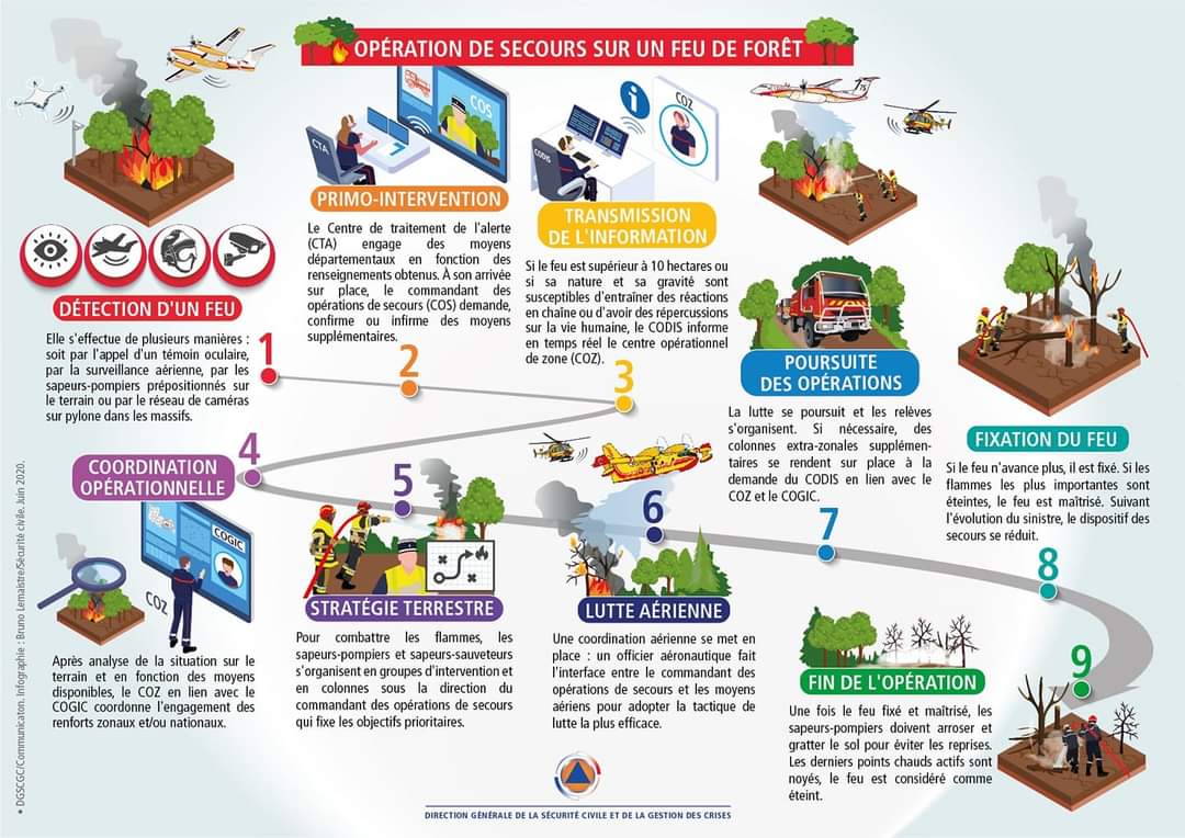 🔥🌲De la détection du feu jusqu’à son extinction totale, 🚒🔥 Connaissez-vous les différentes étapes et l’organisation des #secours lors d’un #FeudeForêt ?