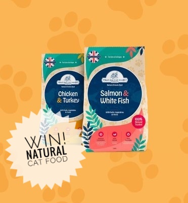 Natural_DogFood's tweet image. ⭐️⭐️Giveaway!⭐️⭐️
We have 4 great prizes to be won!
To find out how to enter visit our FB page! facebook.com/naturaldogfood…
#naturaldogfood #dogsuk #catsuk #giveaway