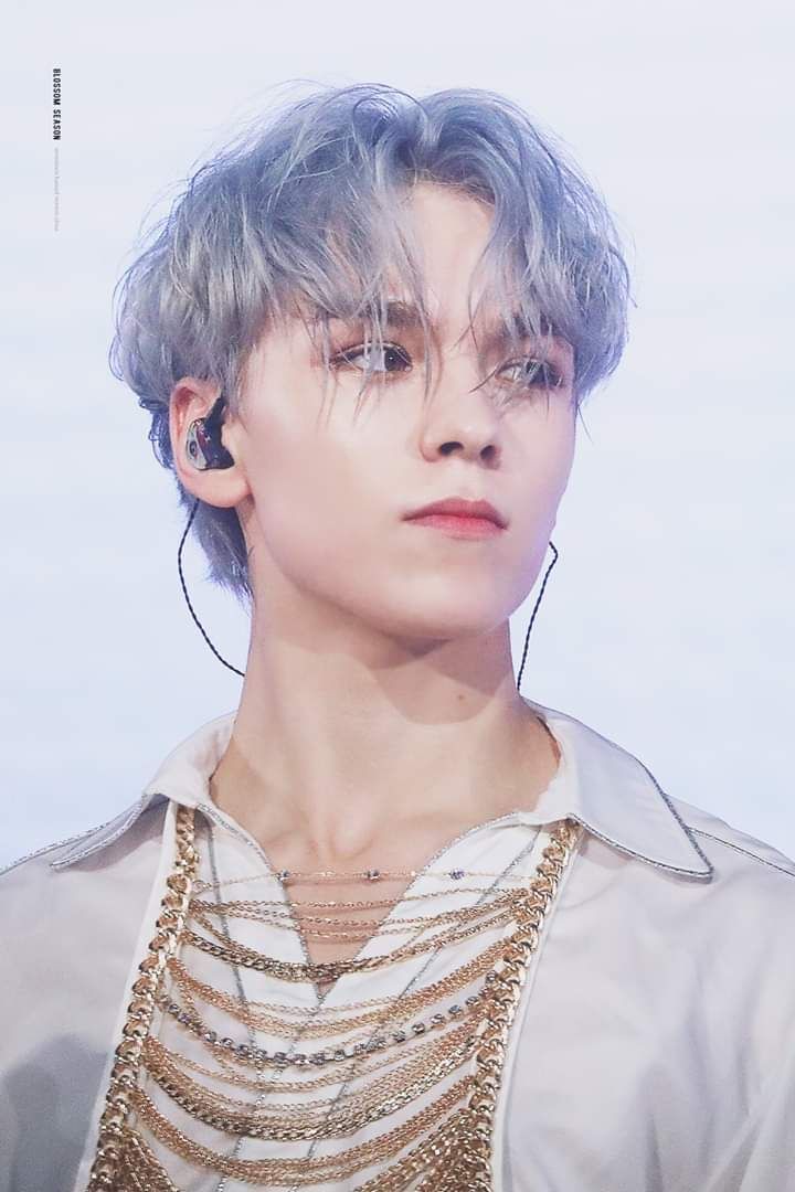 DailySvncatcher's tweet photo. - #DAMI ═══ ❀∘❀∘❀∘═══ #VERNON https://t.co/YVbeGWBUMc