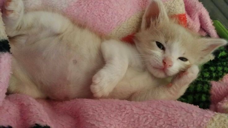 HumCandi's tweet image. Y helo ther ...