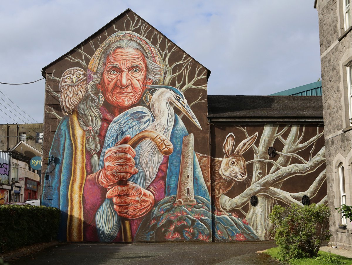 Droichead_Arts's tweet photo. Unveiling the seventh mural on the DRAWDA Urban Art Trail, featuring the Cailleach! Part of the second phase of DRAWDA this stunning work by the world-renowned Italian urban painter Vera Bugatti can be seen on the YGH building on Dominic Street. https://t.co/355mMRJZKi