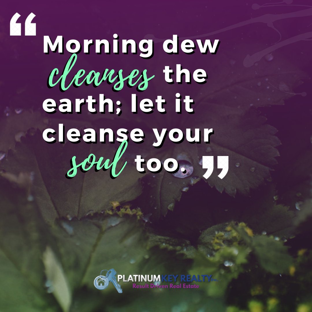 Morning coffee ☕ with Nikki: Embrace the tranquility of morning dew as it washes away the worries of yesterday. Just as it cleanses the earth, let it cleanse your soul, renewing your spirit for the day ahead. 🌅✨

 #MorningDewMagic #SoulCleansing #RenewAndRefresh