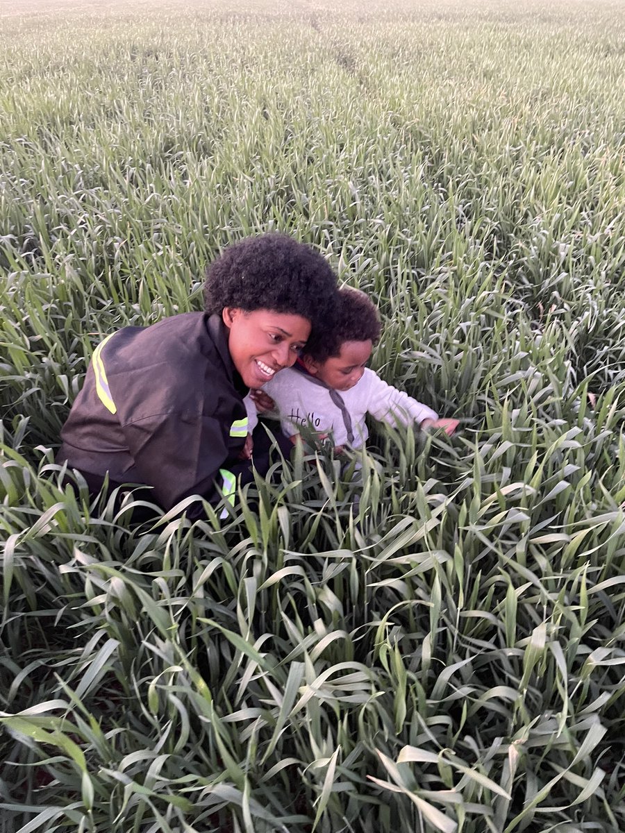 WendyMadzura's tweet photo. 👶🏽Agronomist “LITE” chronicles.

Out and about today scouting in a crop of SC SERENA wheat.

#CatchThemYoung 🙏🏾 https://t.co/LtAhrn21oV