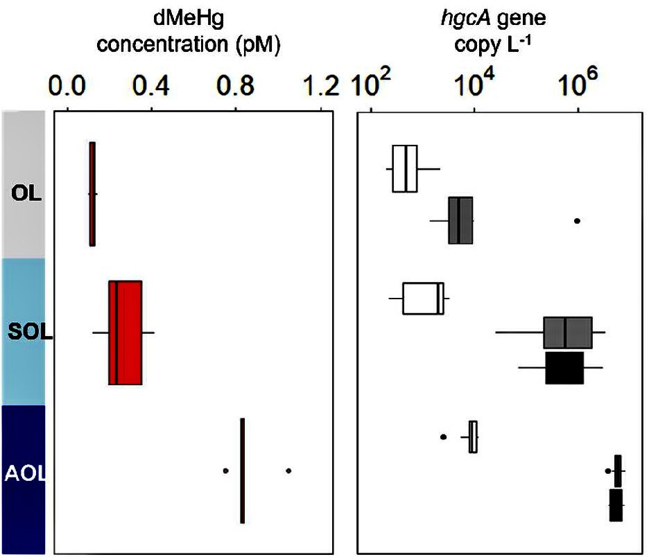 Black Sea redox gradient shapes the distribution of #mercury methylating microorganisms | journals.asm.org/doi/10.1128/ms…