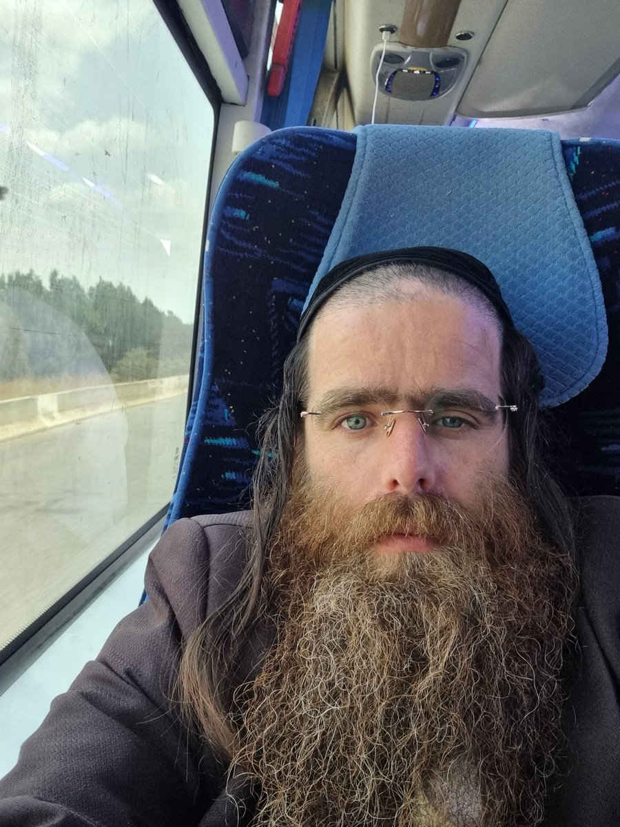 שלמה פולק tweet media