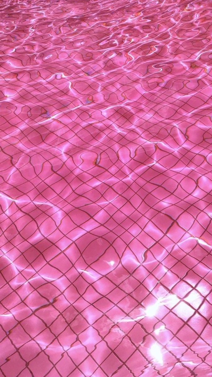 김데데 tweet media