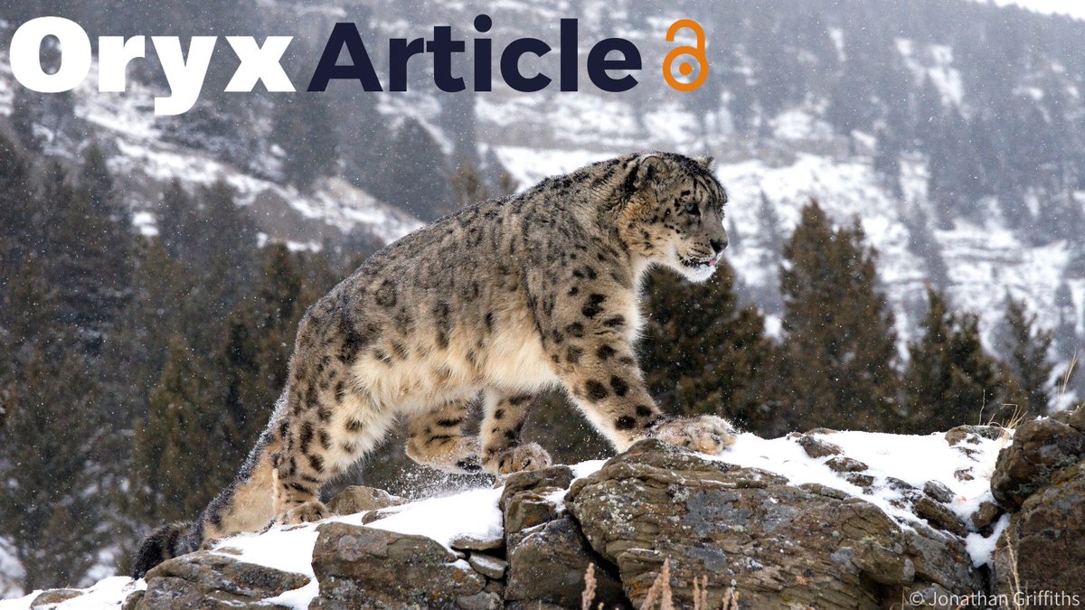 Out now! Zhang et al. use camera traps to provide the first population density estimate of the Vulnerable #SnowLeopard in the Qilian Mountains of China. They identified 18 individual snow leopards and estimate a density of 2.26 per 100 square km🏔️ doi.org/kphh