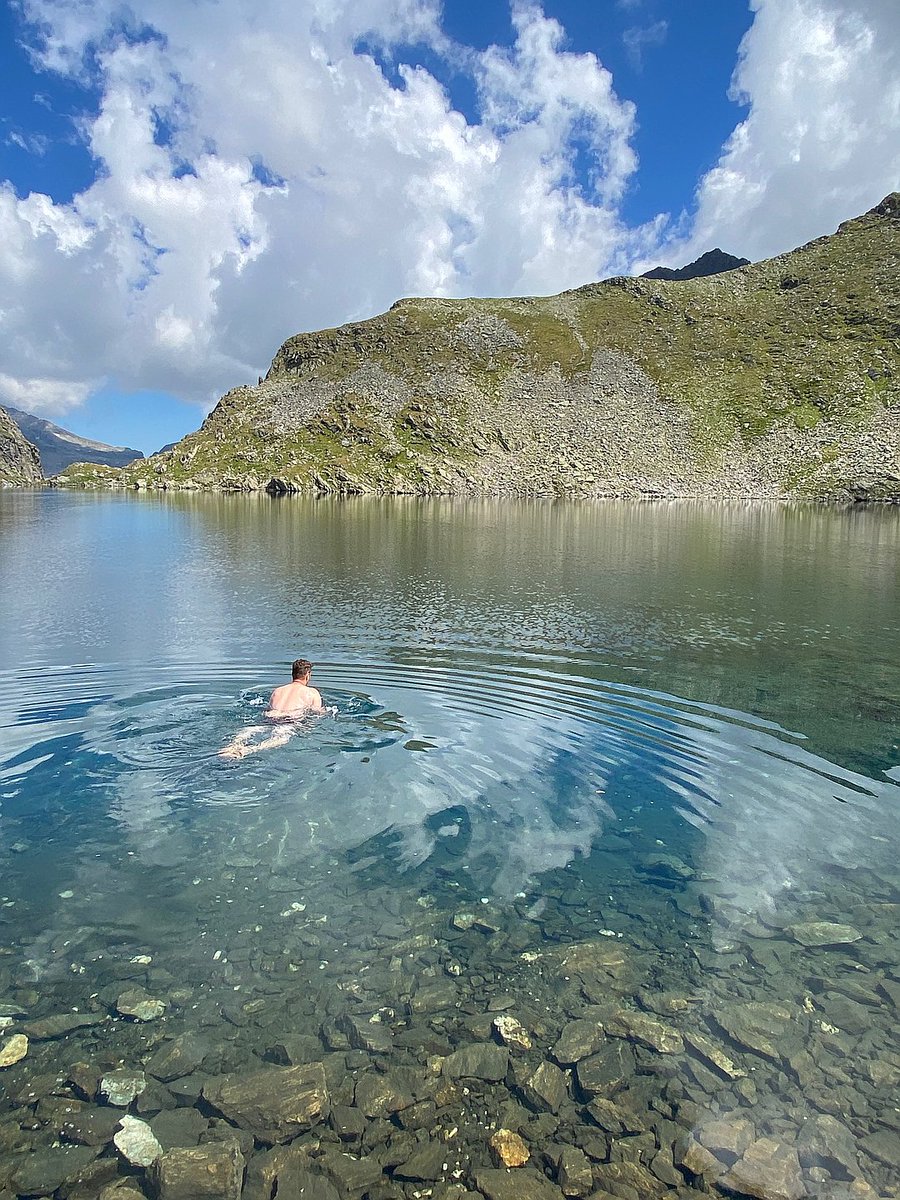 Peter Höflehner tweet media
