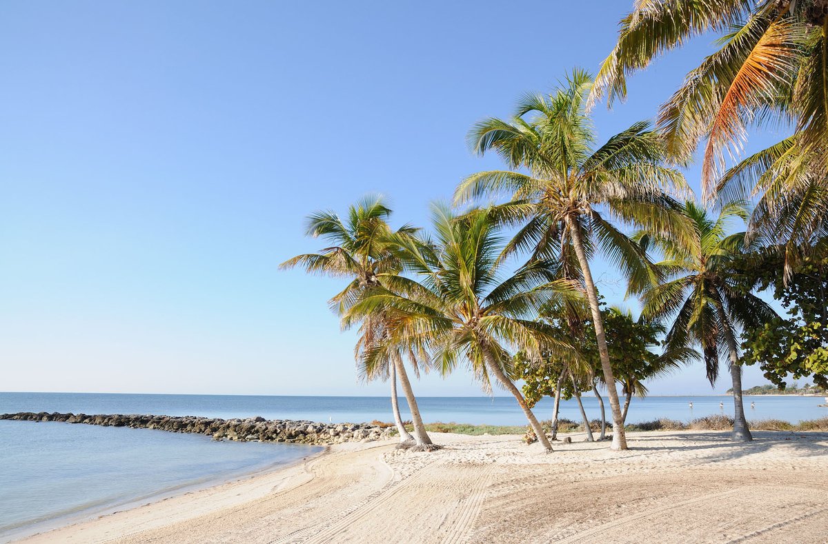 FlaKeysResorts's tweet image. Key West&apos;s beauty revealed: a pristine beach fringed with swaying palm trees and soft white sand. Nature&apos;s tranquil masterpiece, inviting relaxation and adventure. 🏖️🌴🌊 #KeyWestBeach #PalmTreeParadise #WhiteSandBliss #IslandEscape #BeachLife #IslandVibes