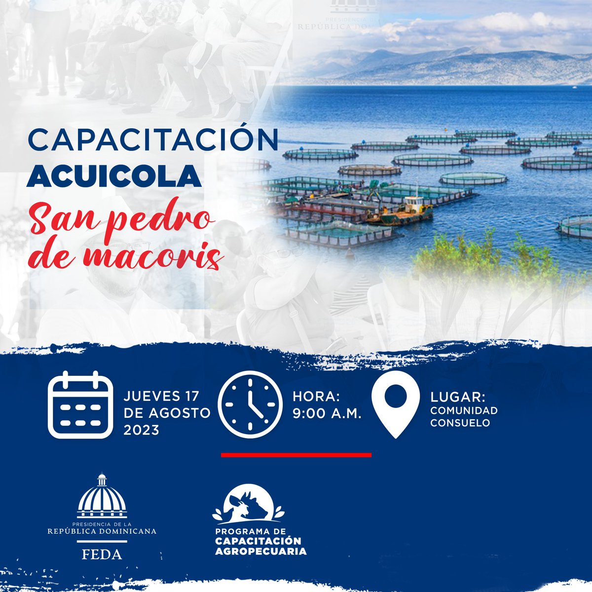 Feda_RD's tweet photo. Acompáñanos este jueves 17 de agosto a la capacitación Acuícola en San Pedro de Macorís en la comunidad de Consuelo a partir de las 9:00 A.M.
¡Te esperamos!
#fedard #daoalpecao https://t.co/A4tu0Kqe4k