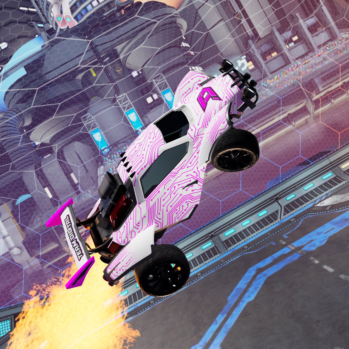 MP_Z_21's tweet photo. OFFICiAL decals made for @digitalesportrl 

Commission open

#RocketLeague 
#esport 
#RLCS https://t.co/BAR7DIrTRZ