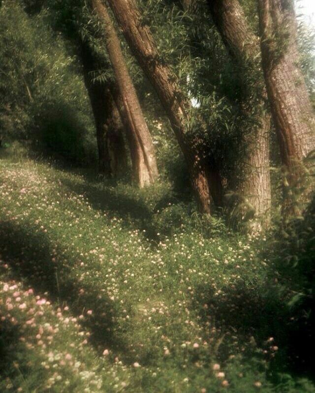 IsartMysoul's tweet photo. https://t.co/mJKE23cTrw