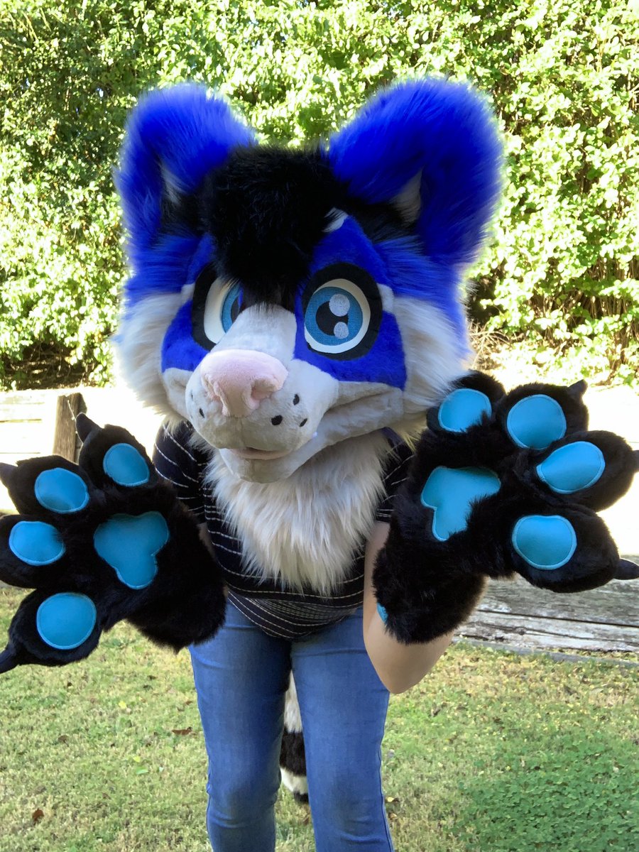 LupeSuits's tweet photo. Tommy raccoon scurries out of the work space! 🦝 https://t.co/EMasydqQvm
