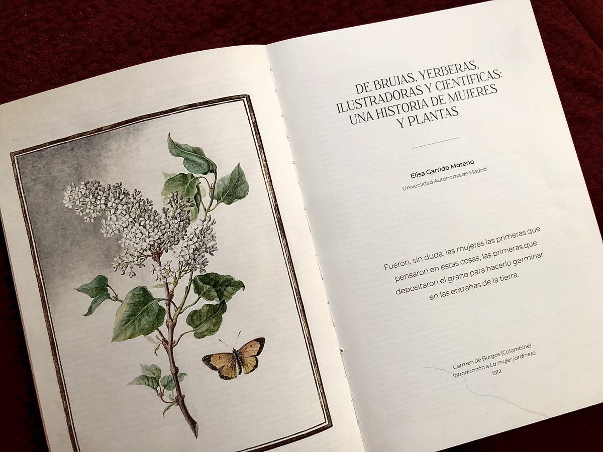 CienciaconArte's tweet photo. 🌱De brujas, yerberas, ilustradoras y científicas. Una historia de mujeres y plantas🌱

Ya está disponible el libro "Ellas Ilustran Botánica", donde he tenido el honor de publicar este texto. 
Bonita edición del CSIC. Es toda una colección de ilustraciones preciosas. https://t.co/FLNBWaaImo