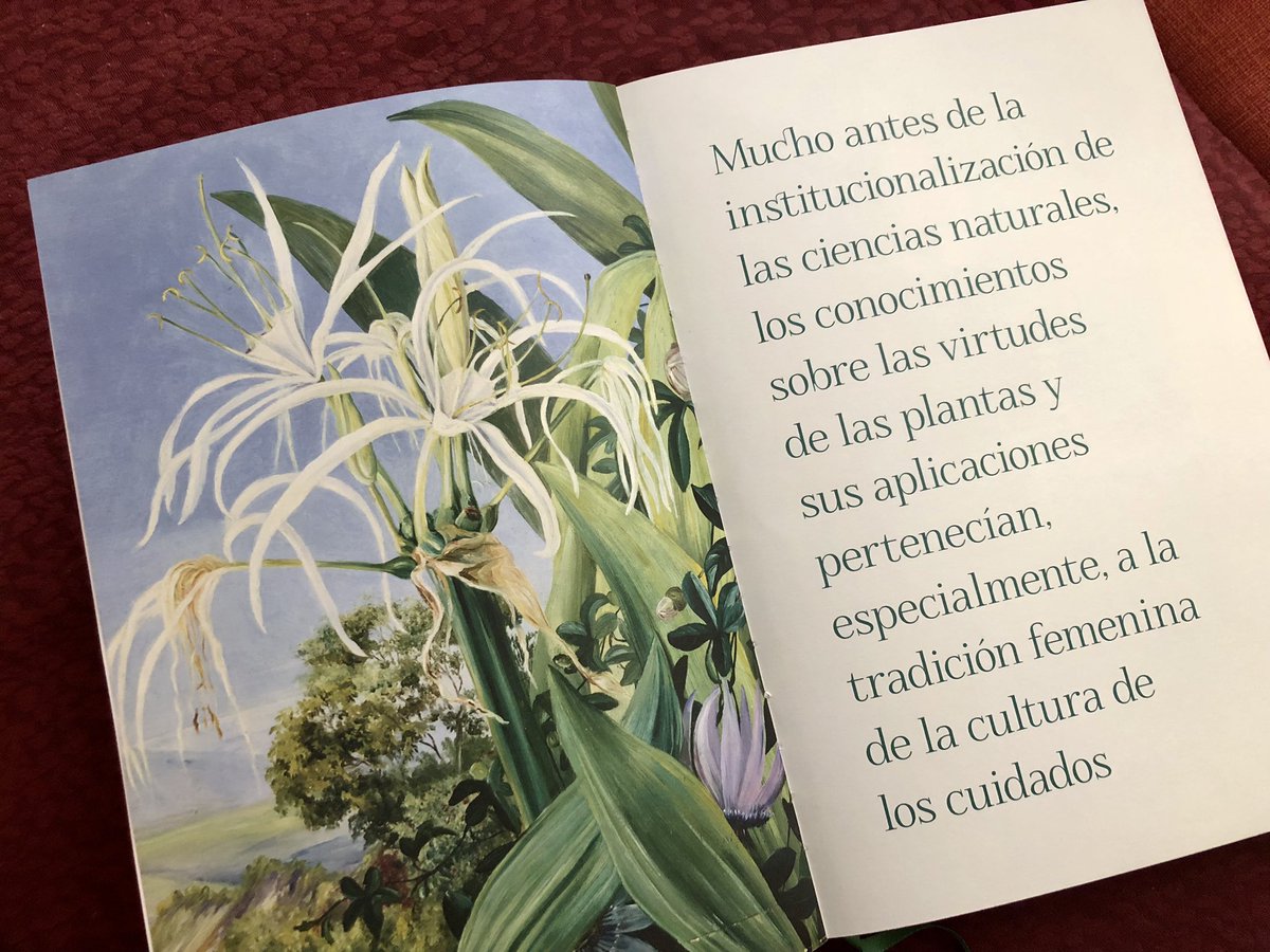 CienciaconArte's tweet photo. 🌱De brujas, yerberas, ilustradoras y científicas. Una historia de mujeres y plantas🌱

Ya está disponible el libro "Ellas Ilustran Botánica", donde he tenido el honor de publicar este texto. 
Bonita edición del CSIC. Es toda una colección de ilustraciones preciosas. https://t.co/FLNBWaaImo