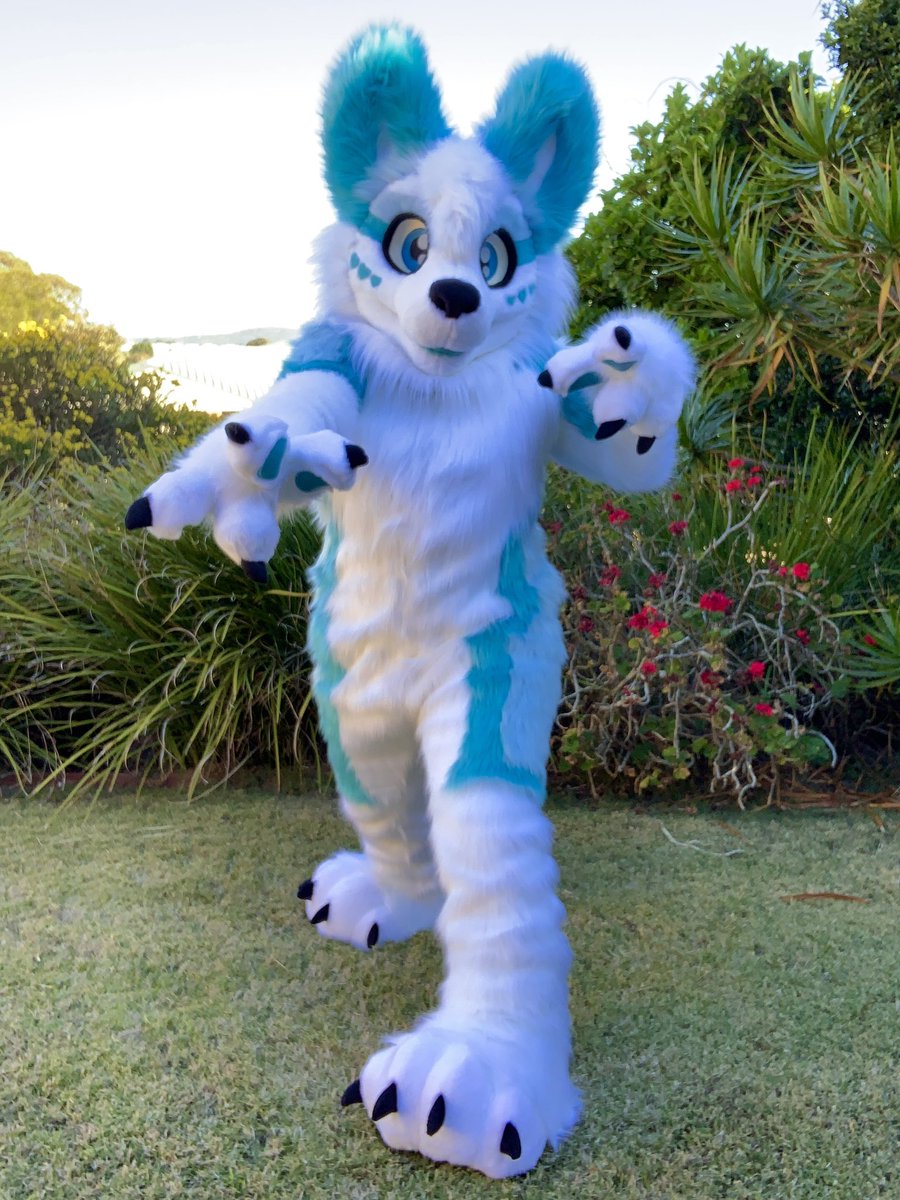LupeSuits's tweet photo. This icy blue dog was more than our camera could handle! So bright! 🙈
Say hi to Oiyl! https://t.co/cZvHXvORce
