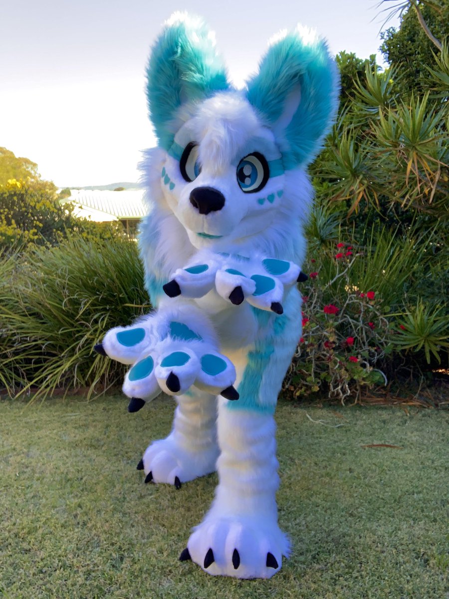 LupeSuits's tweet photo. This icy blue dog was more than our camera could handle! So bright! 🙈
Say hi to Oiyl! https://t.co/cZvHXvORce