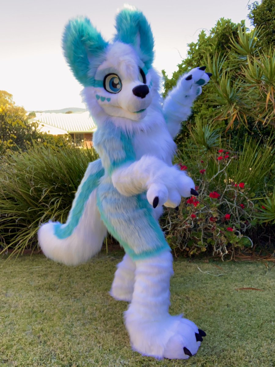 LupeSuits's tweet photo. This icy blue dog was more than our camera could handle! So bright! 🙈
Say hi to Oiyl! https://t.co/cZvHXvORce