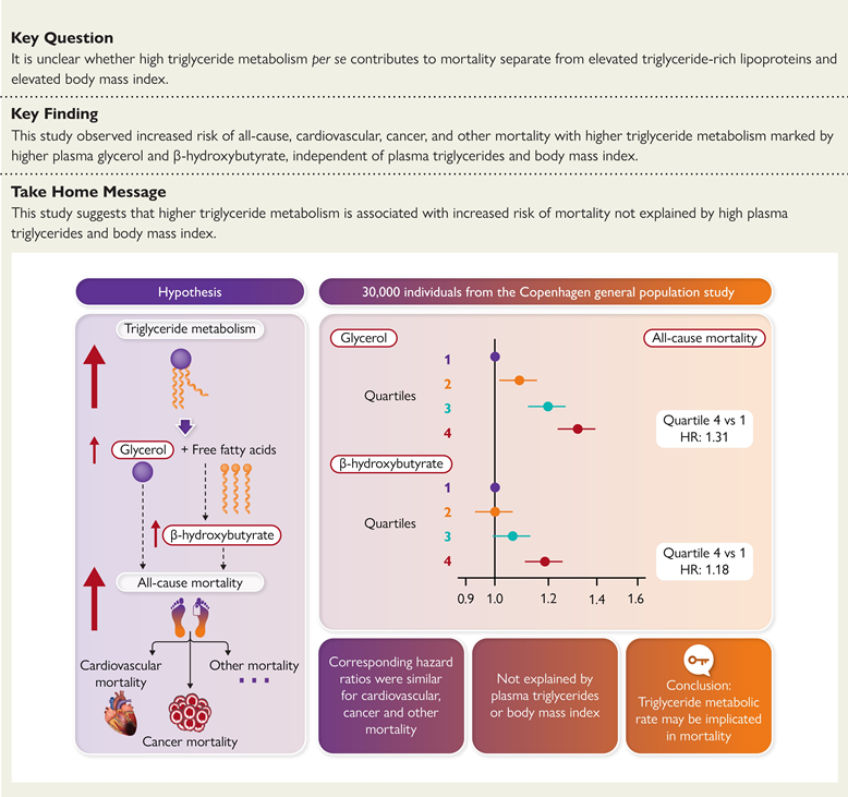 From plasma triglycerides to triglyceride metabolism: effects on mortality in the Copenhagen General Population Study
academic.oup.com/eurheartj/adva…