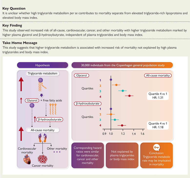 From plasma triglycerides to triglyceride metabolism: effects on mortality in the Copenhagen General Population Study academic.oup.com/eurheartj/adva…