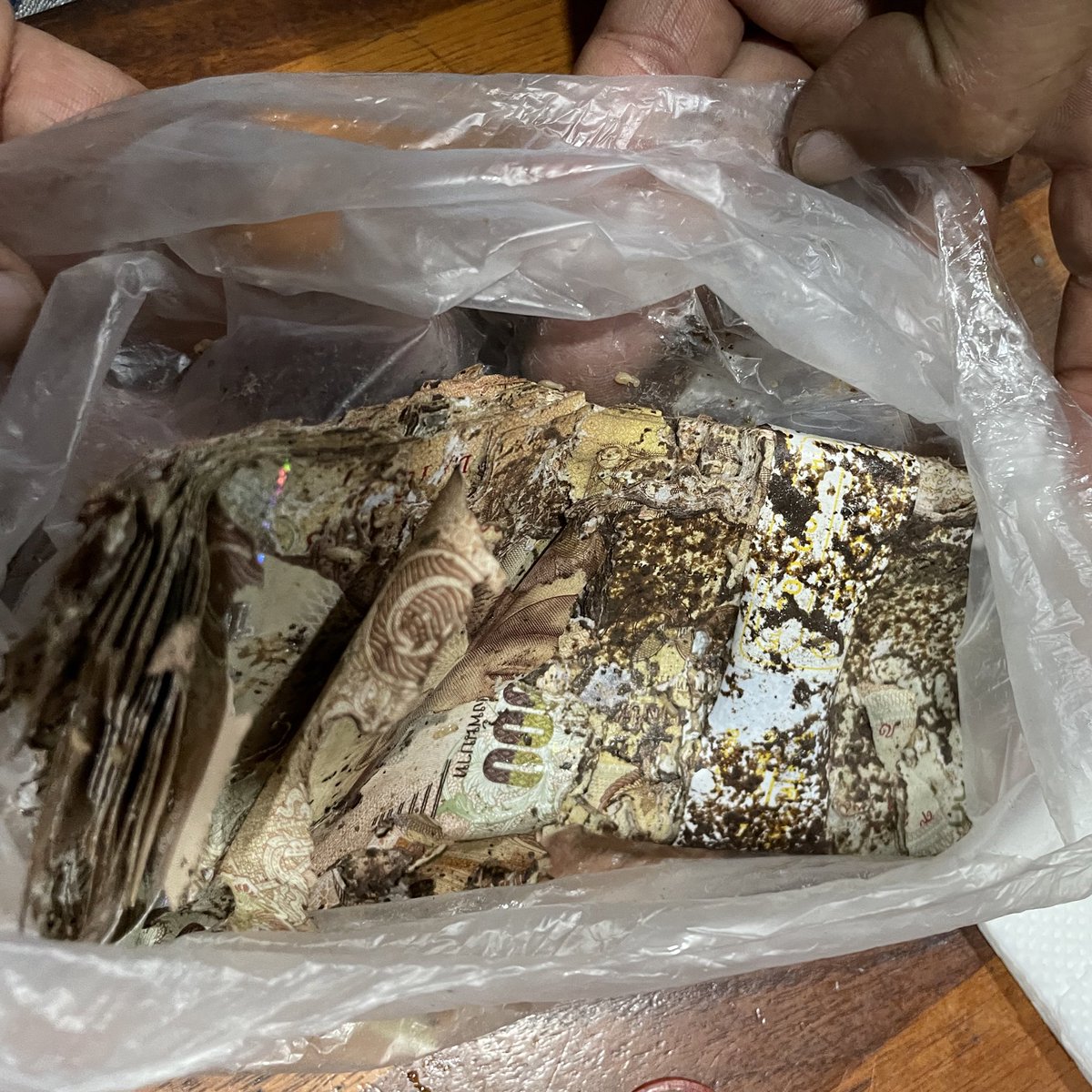 เจอเรื่องเศร้า ㅠㅠ ลูกน้องพ่อเขาไม่มีบัญชีธนาคาร เก็บเงินไว้ในถุงพลาสติก เก็บมาตลอดหลายปีเลยนะได้ 7 หมื่นกว่า สรุปเปิดมาปลวกกิน 😭😭😭