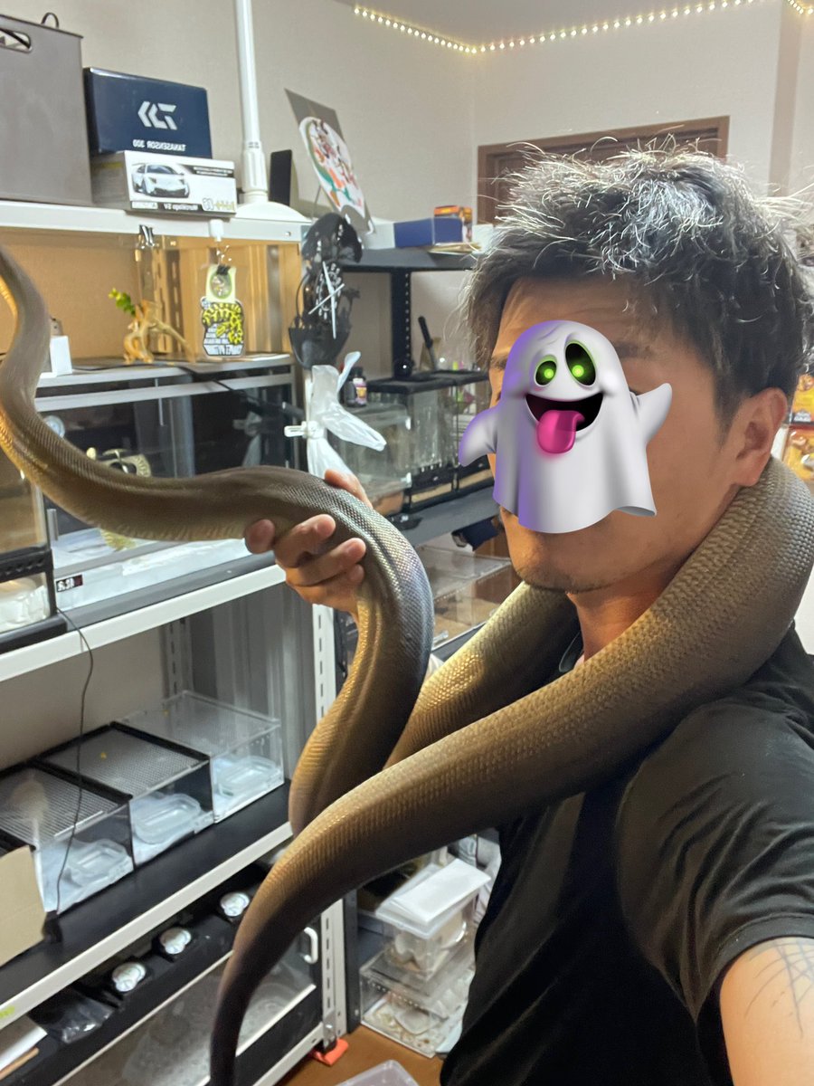 あんでぃ35 tweet media