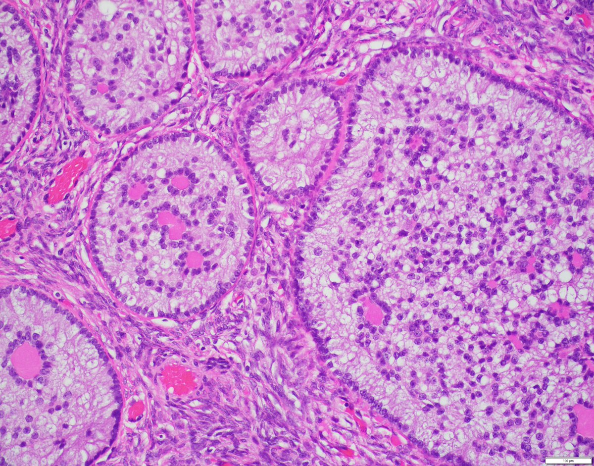 Rachelle Mendoza tweet media