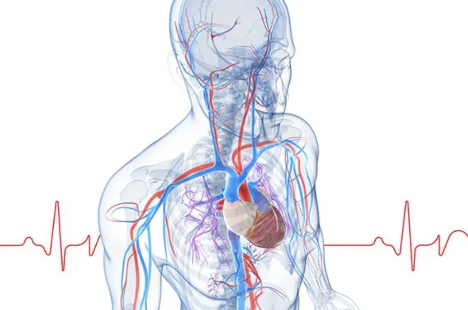 'Advancing Evidence-Based Anticoagulant Treatment in NVAF: Strategies for Reducing Risk of Stroke'

feedkast.com/feeds/758

#NVAF #Cardiology