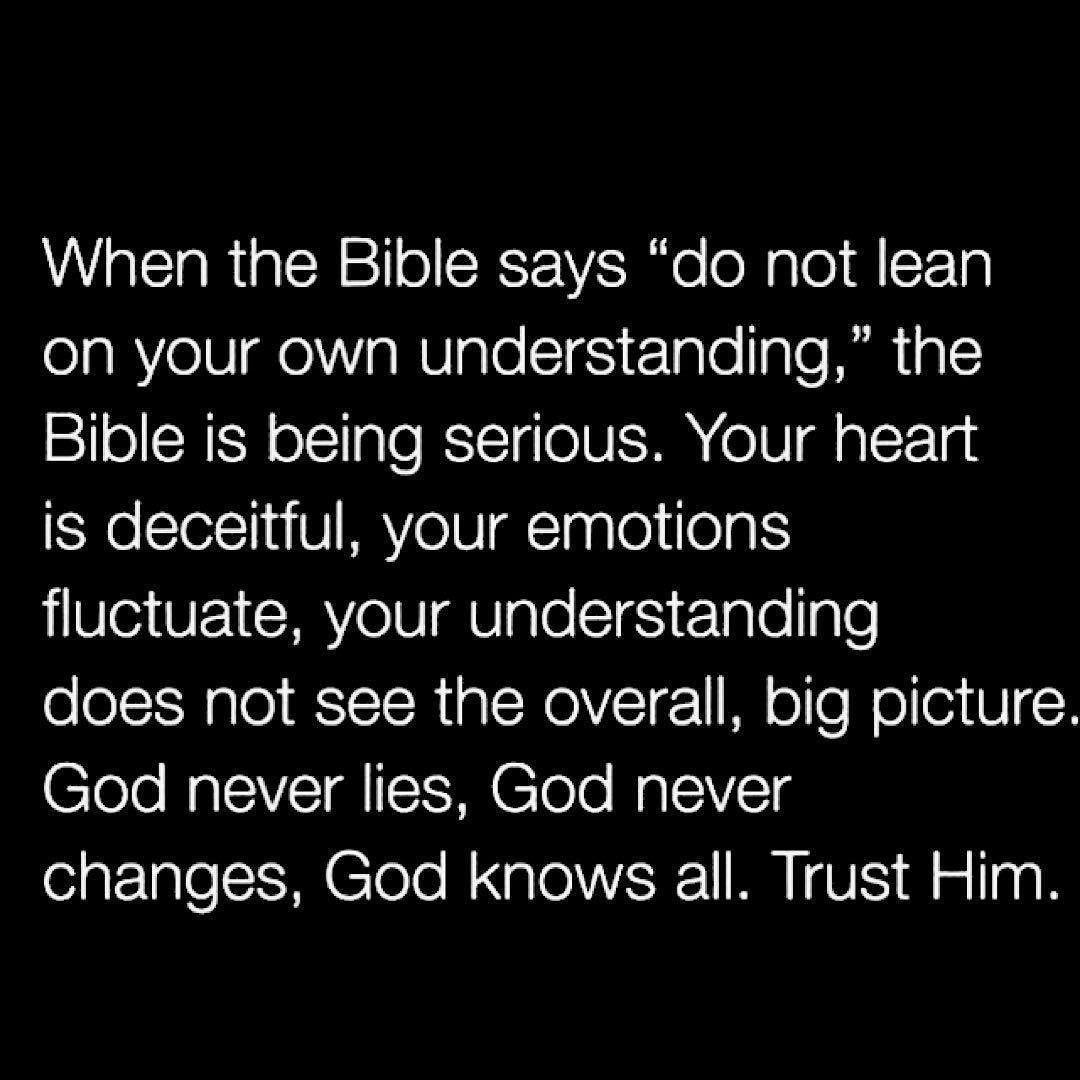 Trust God Bro tweet media