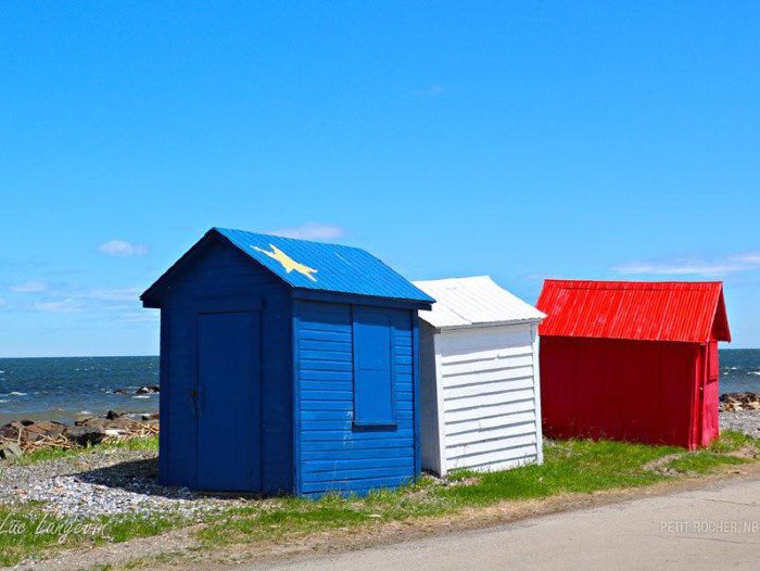Bonne fête de l’Acadie! 🔵⭐️⚪️🔴