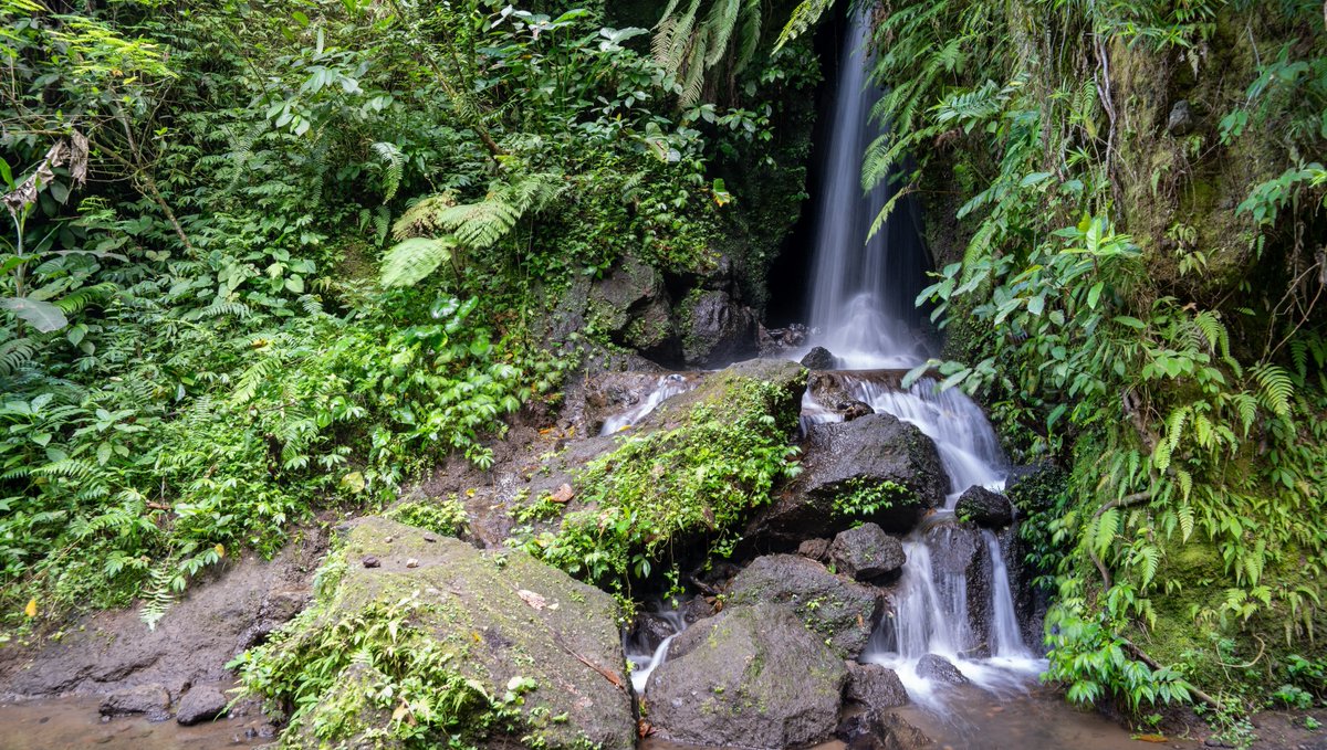 A can’t-miss activity is a short hike down to waterfalls. We tried to see as many as possible! These tranquil spots provide respite from the tropical heat and opportunities for memorable photographs. 🌴 #Travel #Bali 👉 bit.ly/ccbali
