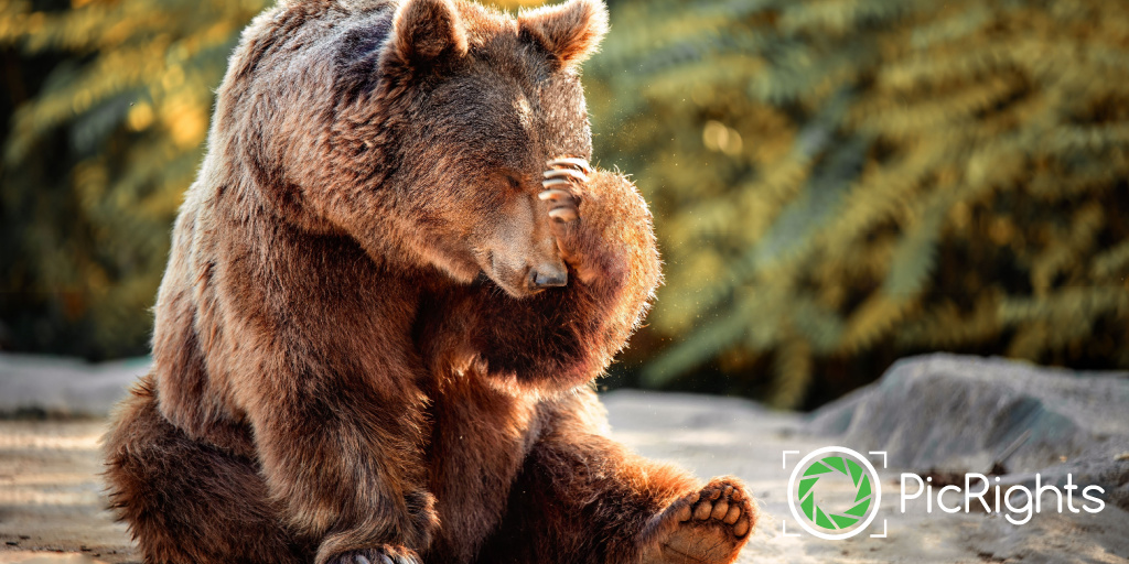 Received a notice from #PicRights? Don't panic! You may have used an image owned or represented by one of our clients without realizing it’s copyrighted. Our client has instructed us to contact you to resolve the matter. Learn more: picrights.com #ImageCopyright