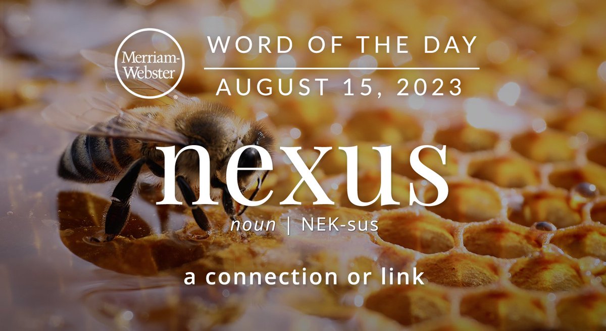 MerriamWebster's tweet photo. The #WordOfTheDay is ‘nexus.’ 
https://t.co/0XGv3DnX3G https://t.co/N1W4qsXRdv
