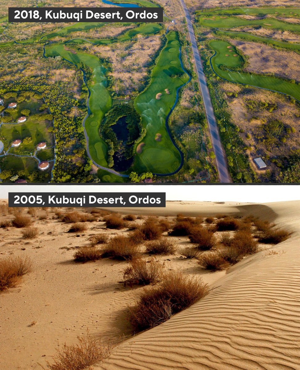 Once a barren land, the Kubuqi Desert in China’s Ordos, Inner Mongolia Autonomous Region, has been turned into an oasis with a vegetation coverage of 53%. #GreenChina