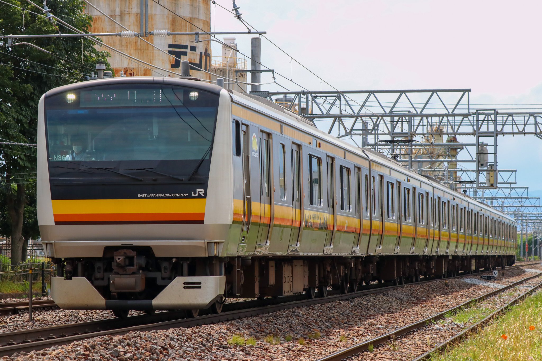 播陽東山　播州尾上鐘　青草瓶　共箱　高さ13.3㎝　トトカ東な6-1119☆2F 播陽東山播州尾上鐘青草瓶共箱高さ13.3㎝トトカ東な6-1119☆1F