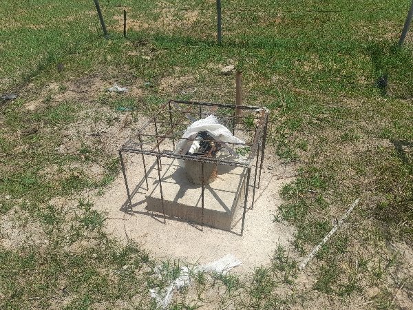 TrackaNG's tweet photo. N3.2m was allocated to the Infrastructural Development for Fish Production in Bogoro Bioresources Centre, Bogoro, Bauchi in the 2022 FG Budget. 
We tracked and report that this project is ongoing.

The mini fish pond is under construction, the borehole is being repaired while pipes and rubber tanks have been supplied. 
We will keep tracking to ensure proper service delivery.