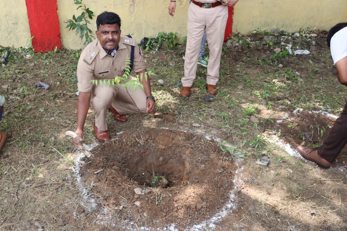 MB Division NR tweet media